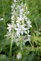 Killikus&reg; Fotographie